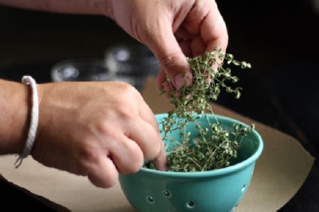 Žāvēti garšaugi (baziliks un oregano)