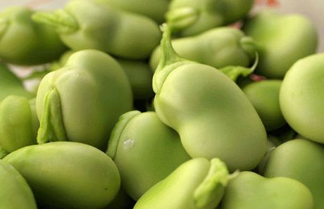 Pupas