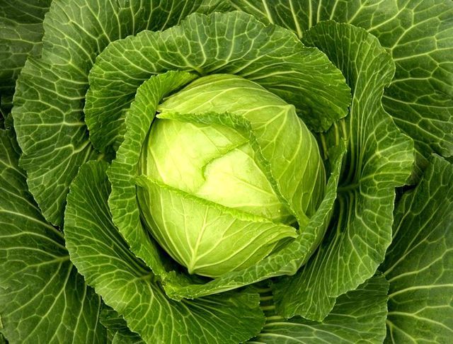 Labākie produkti svara zaudēšanai un skaistumkopšanai