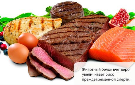 Pārmērīga olbaltumvielu pārtikas lietošana noved pie priekšlaicīgas nāves