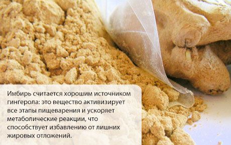 Malts ingvers