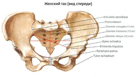 Iegurnis kopumā
