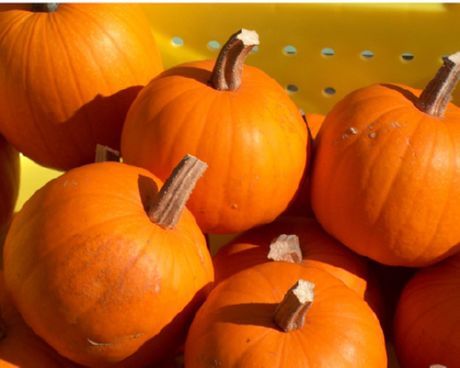 7 veselīgākie rudens produkti