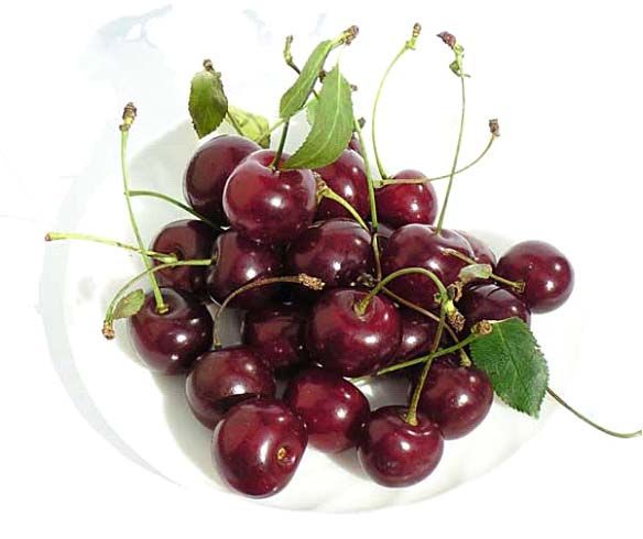 Skābie ķirši satur vairāk pretiekaisuma savienojumu nekā jebkurš cits pārtikas produkts.
