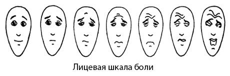 Sejas sāpju skala